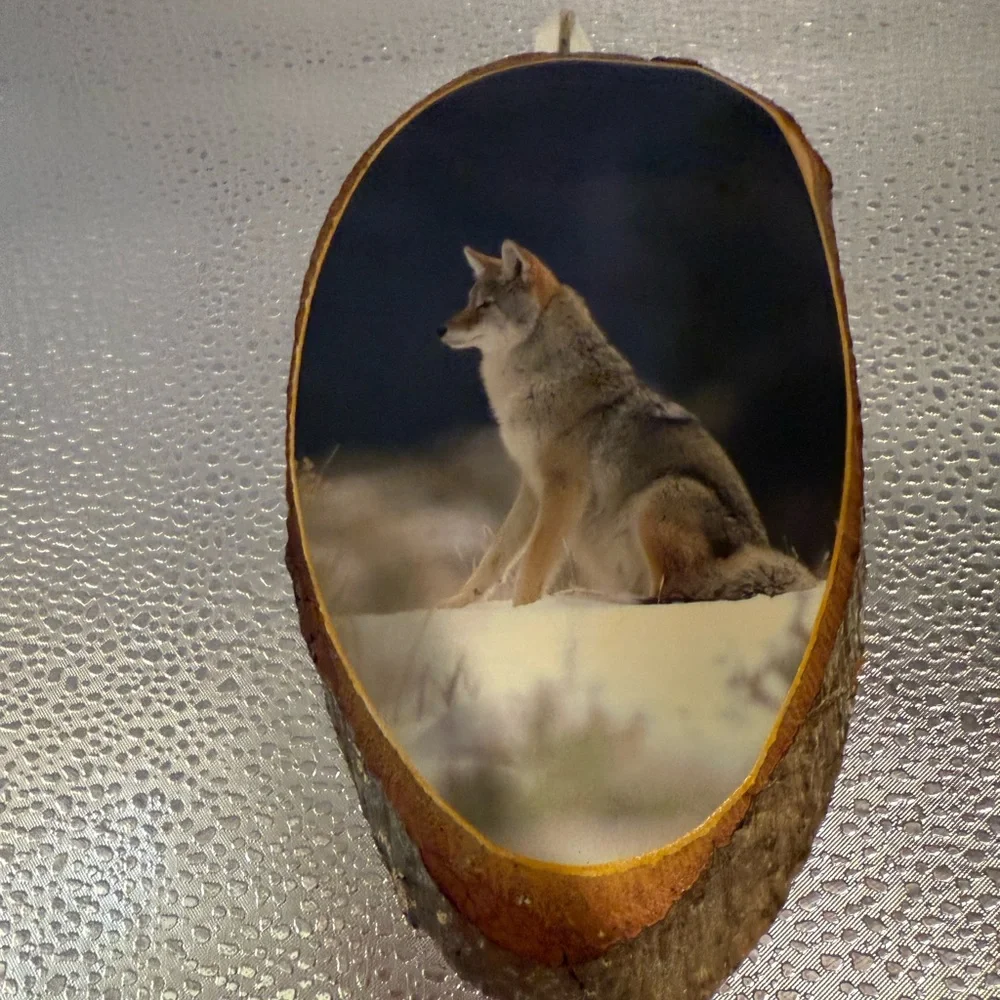 Rustic Wolf Wall Art on Wood Slice